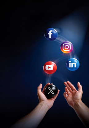 meta social 288x412